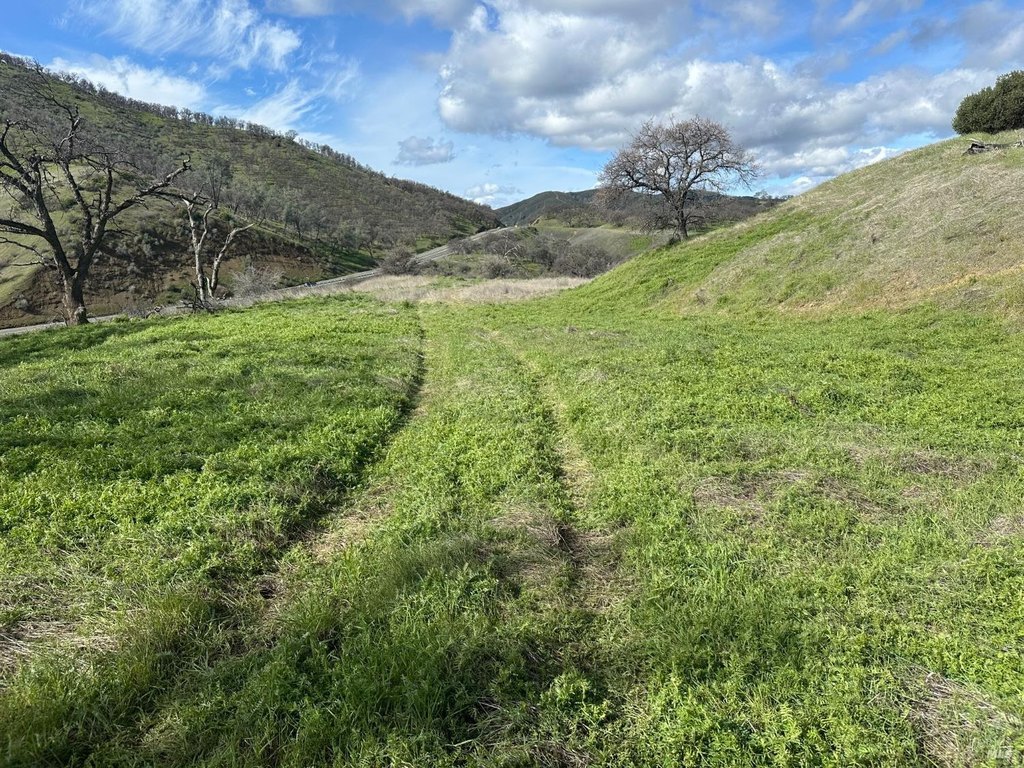 Picture 19