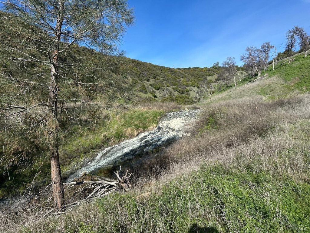 Picture 13