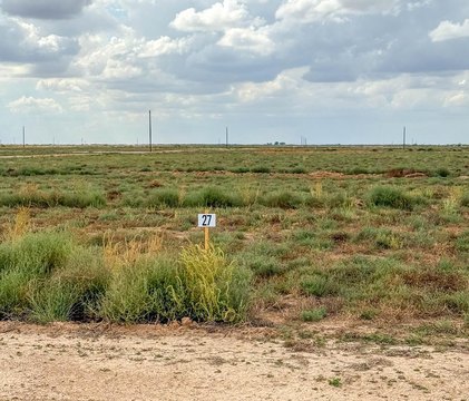 Residential Lot in Developing Subdivision