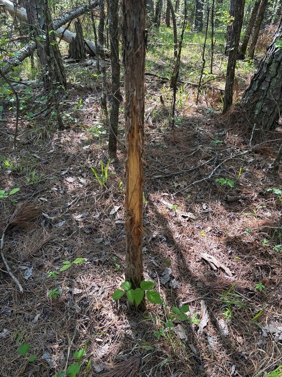 Picture 2