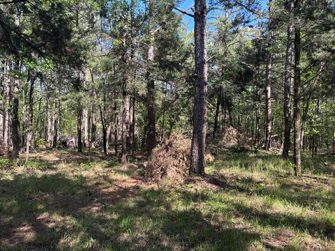 20 Acres in Pontotoc County