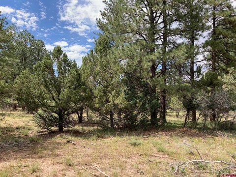 Golf Course Lot with Paved Access