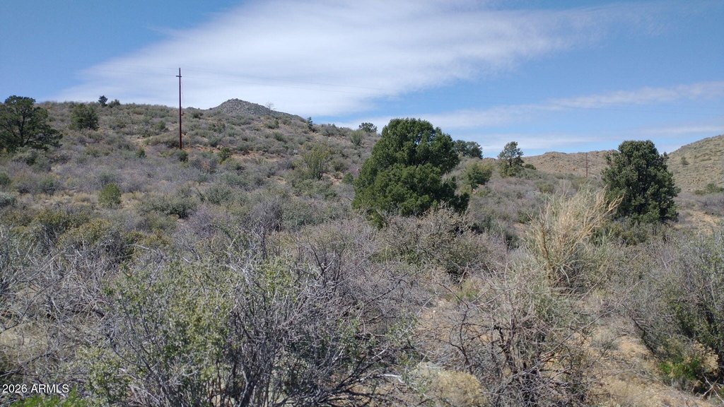 Picture 19