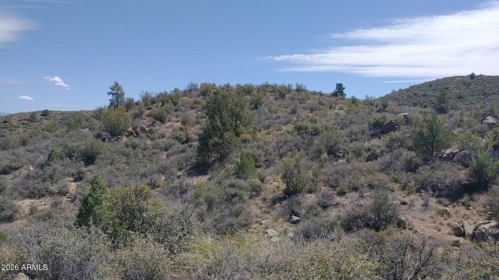 Picture 17