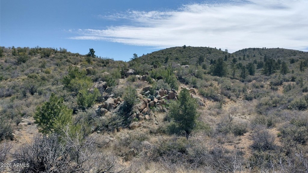 Picture 21