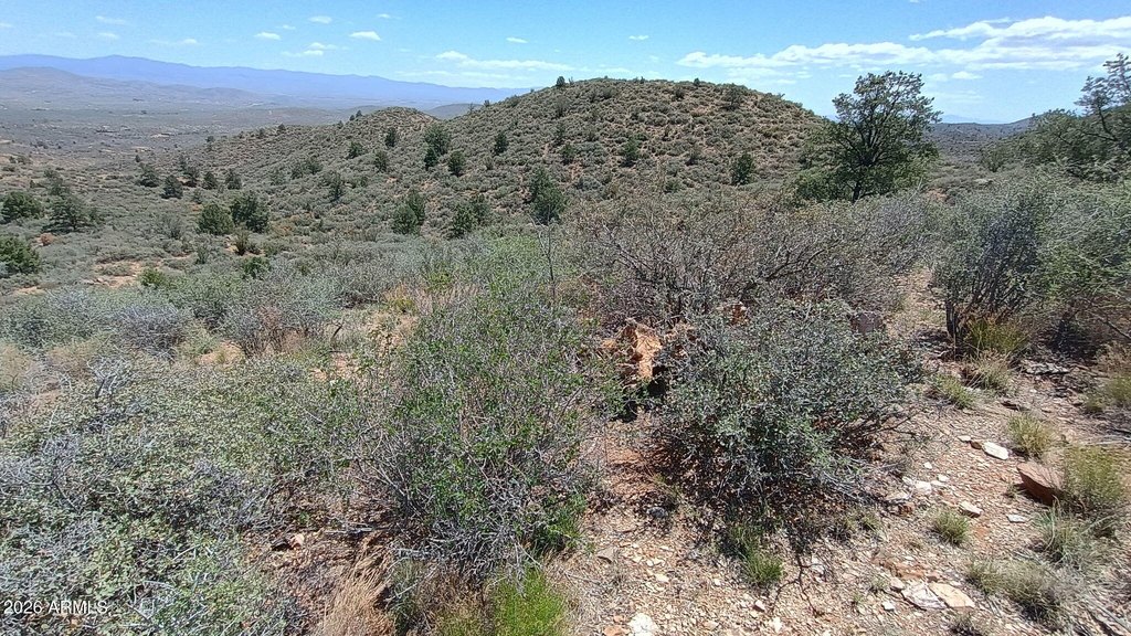 Picture 11