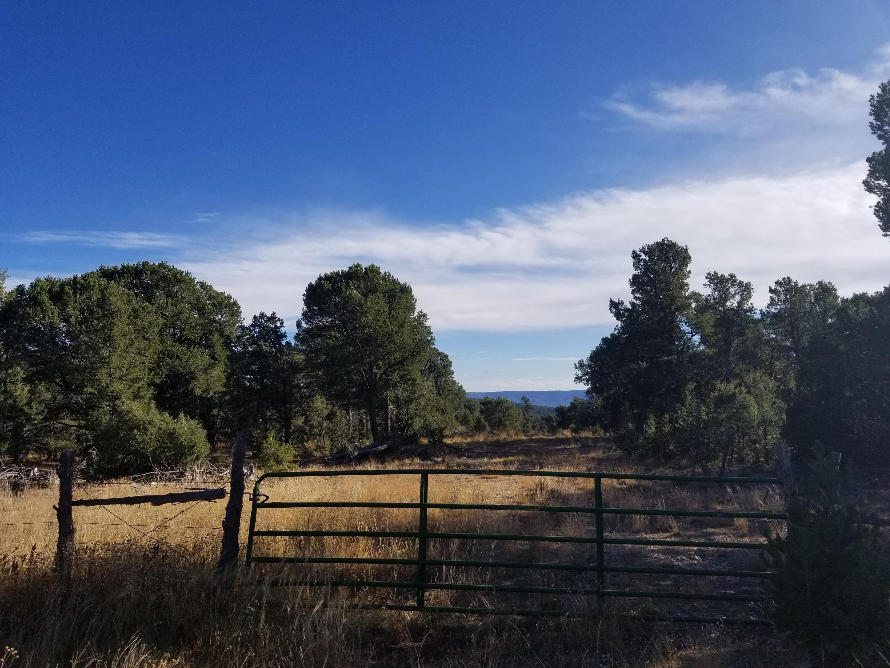 35 Acres in Pecos Mountains