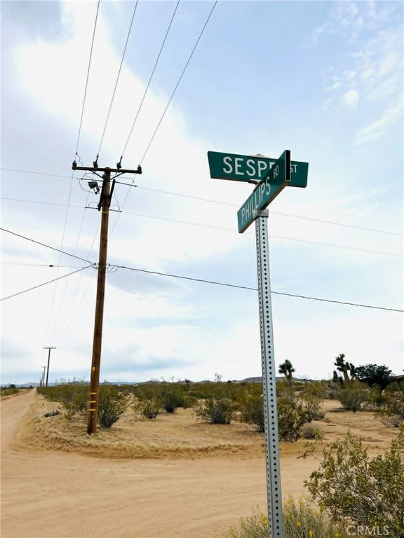 Picture 5