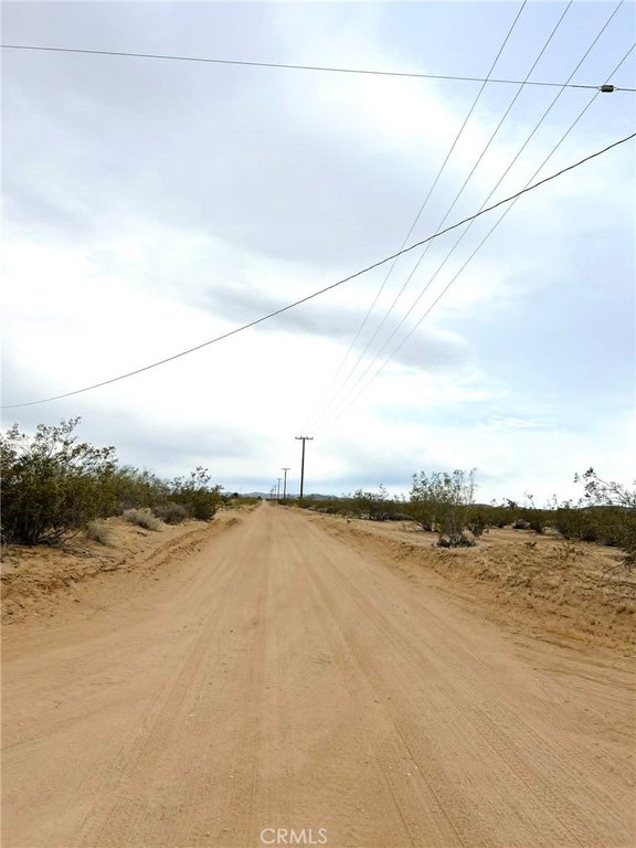 Picture 6