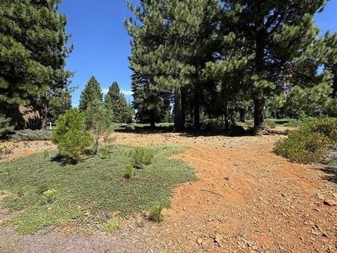 LAND - Lake Almanor, CA