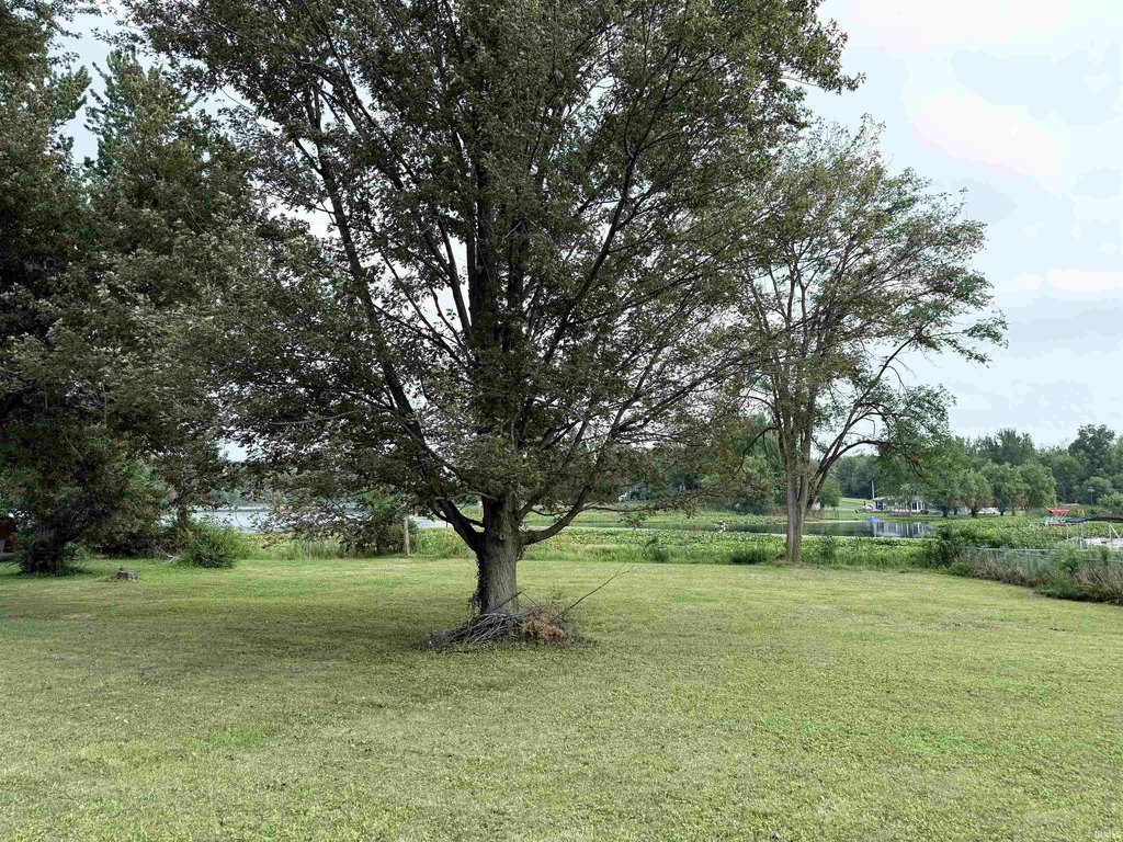 Picture 2