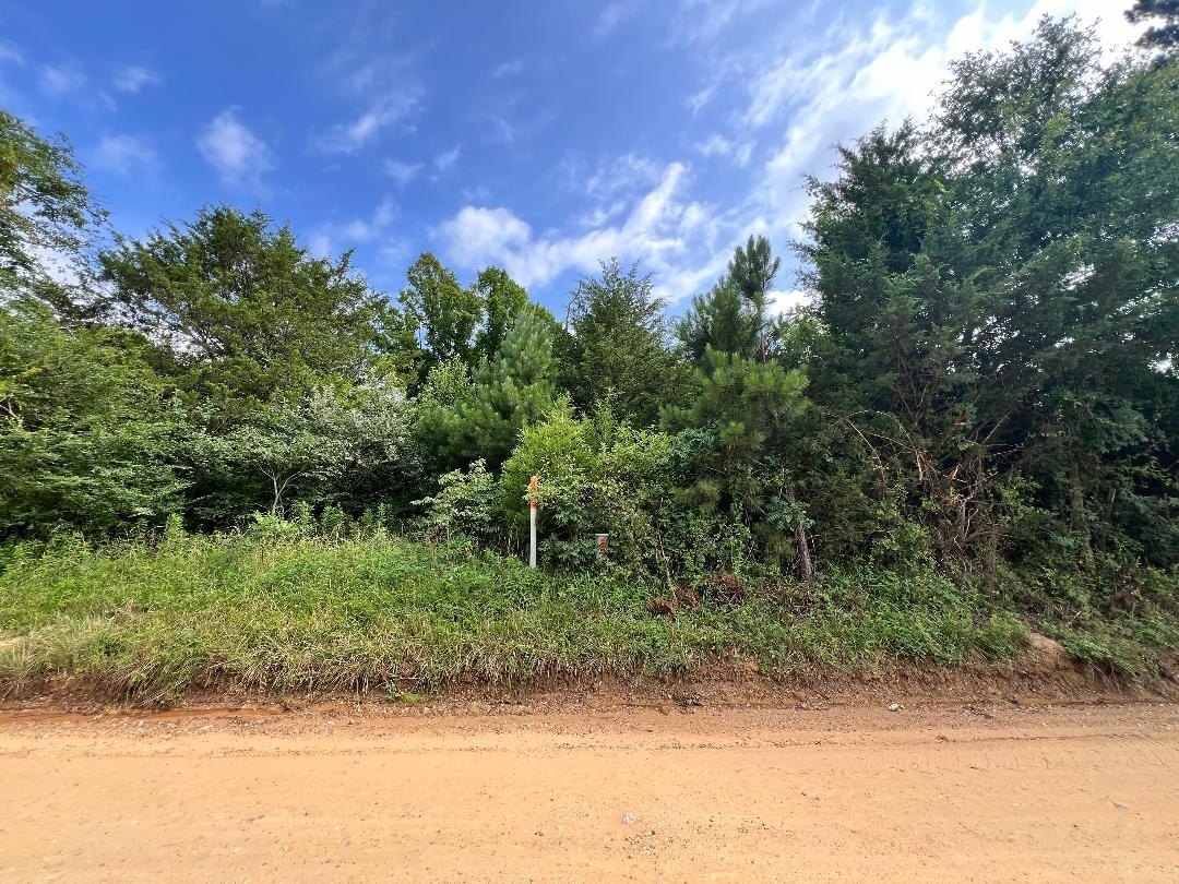 8 Acres Vacant Land