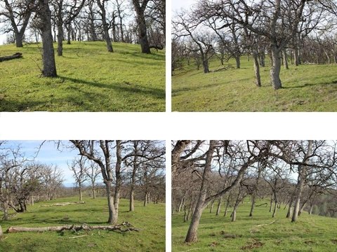 Red Bluff View Parcel