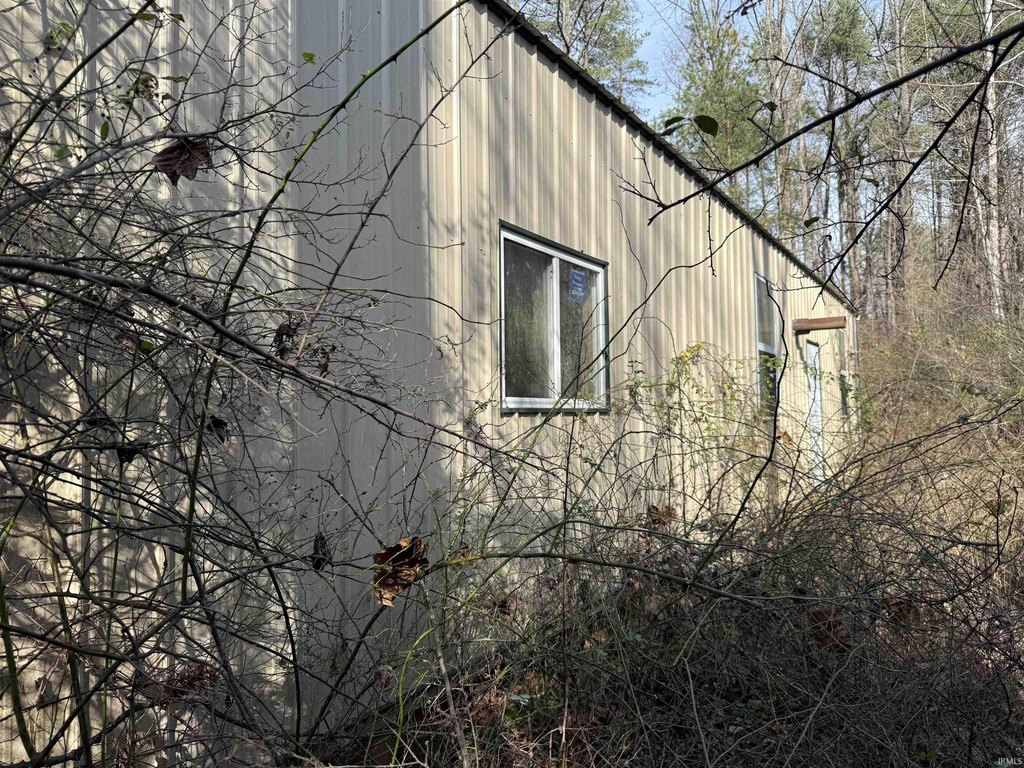 Picture 3