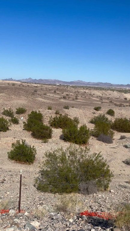 Picture 5