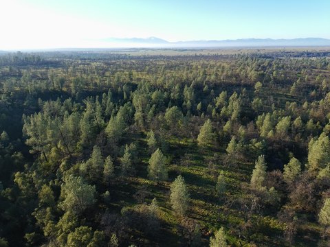 Land, Anderson, CA