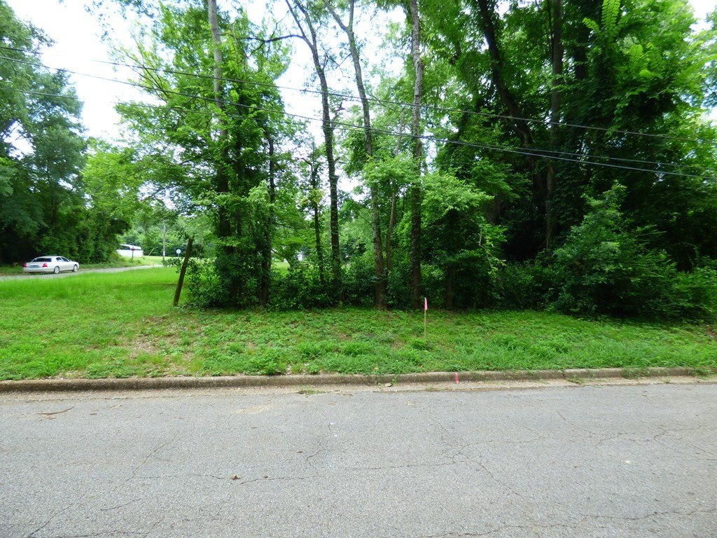 Picture 3