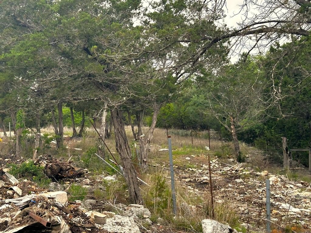 Picture 3