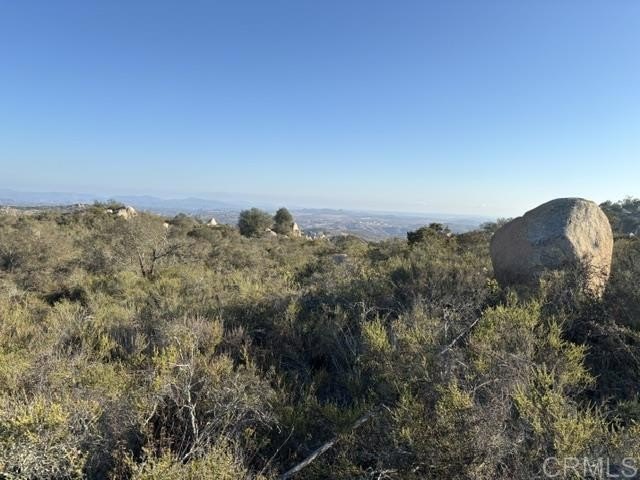 Picture 43