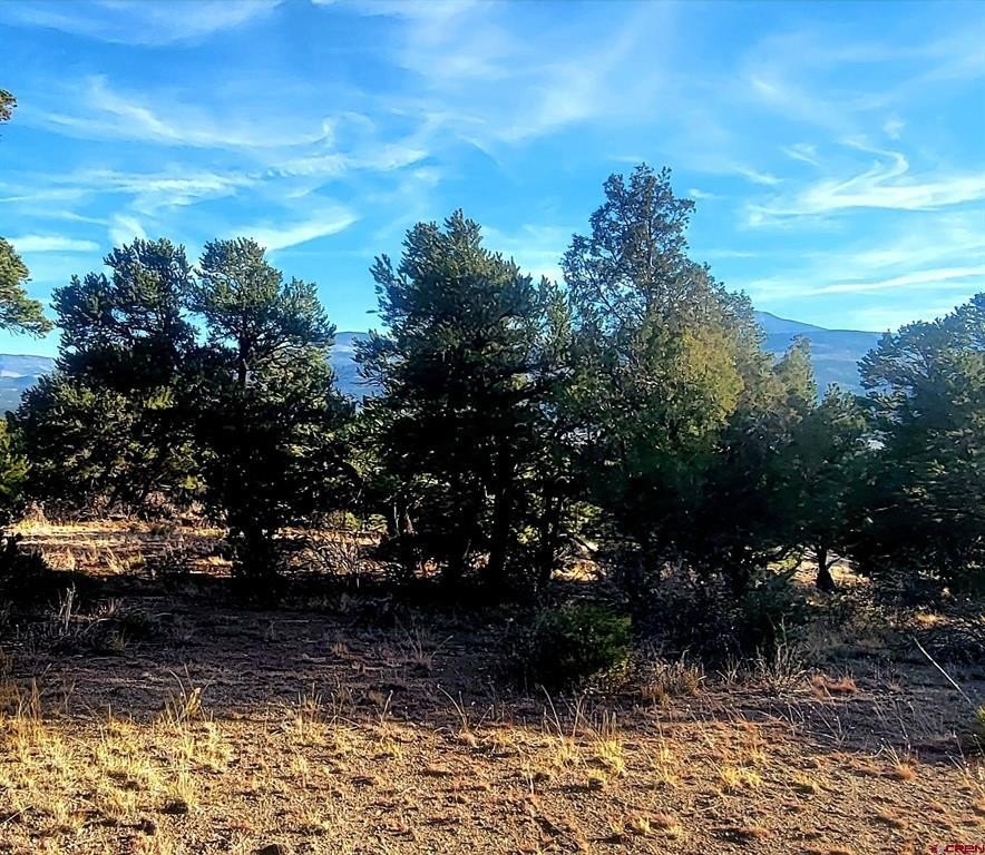 Picture 37