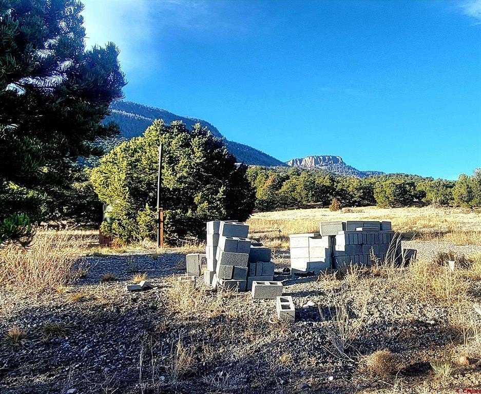 Picture 25