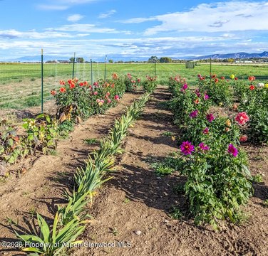 Irrigated Farm with Flower Plot