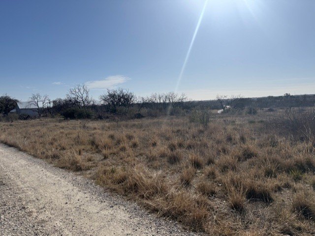 Picture 16