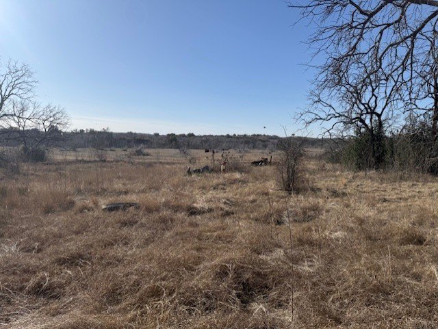 Picture 5