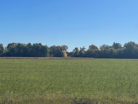 Land, Princeton, MN