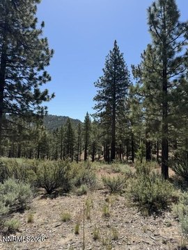 LAND - Carson City, NV