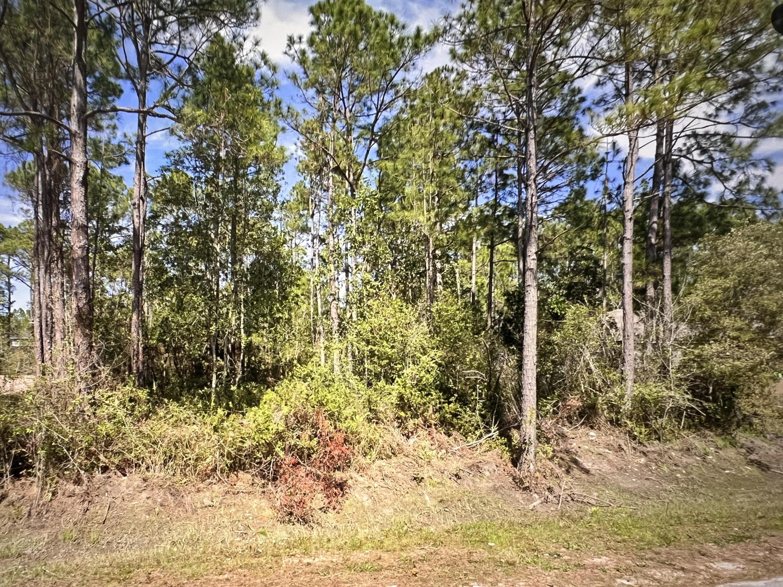 Navarre, FL Land Opportunity