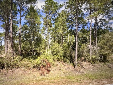Navarre, FL Land Opportunity