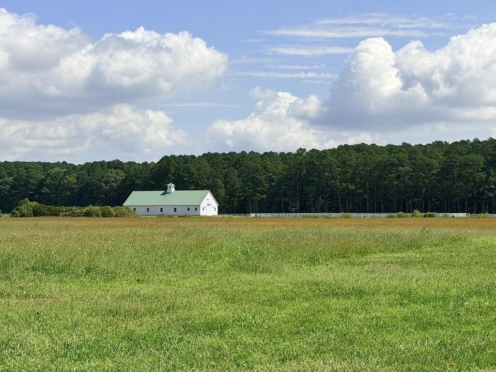 Picture 12