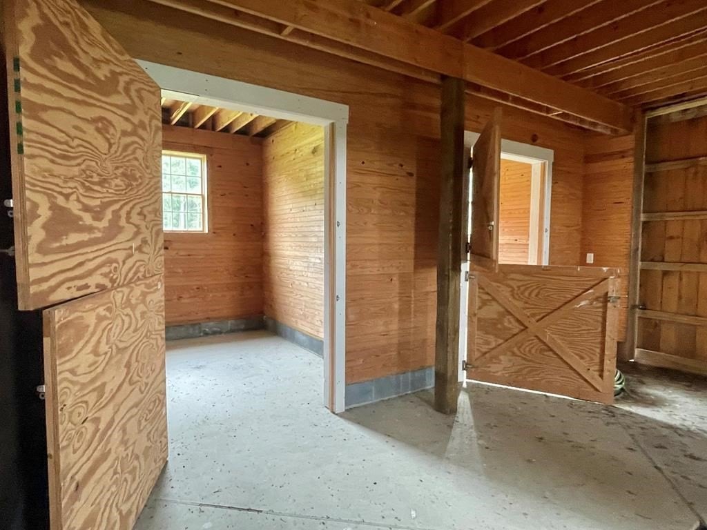 Picture 19