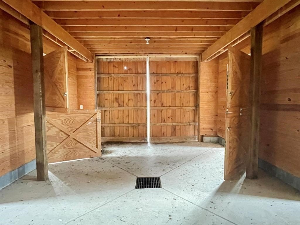 Picture 16