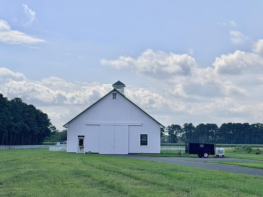 Picture 34
