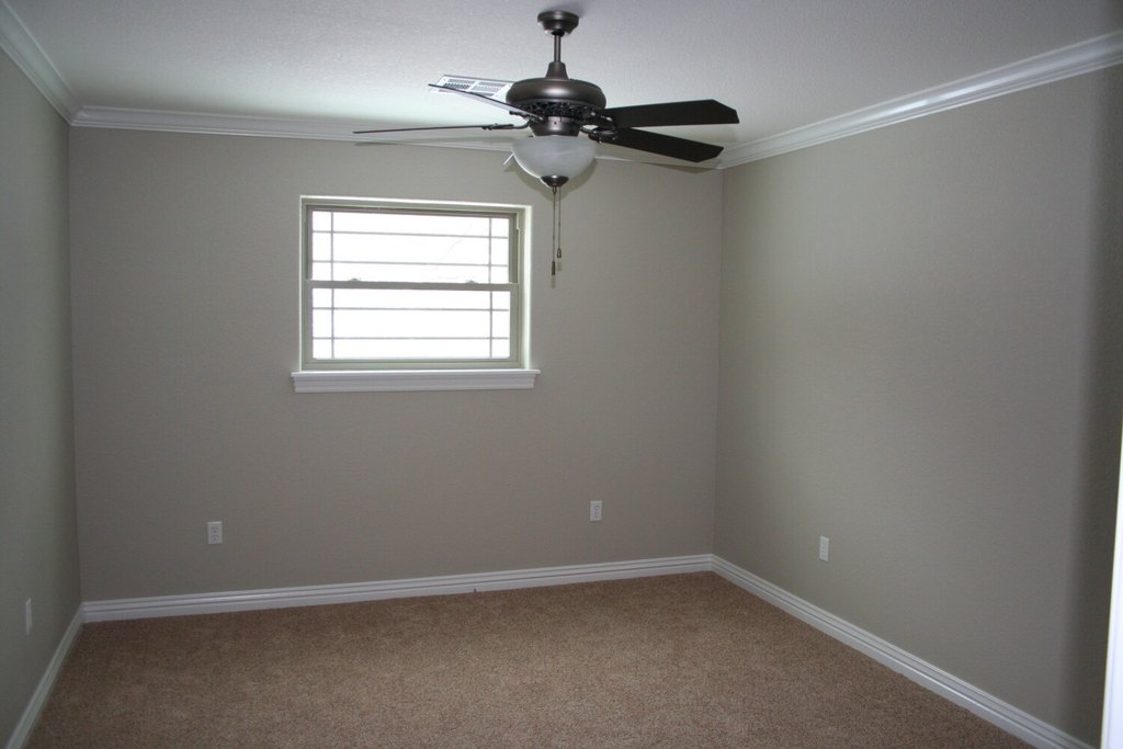 Picture 33