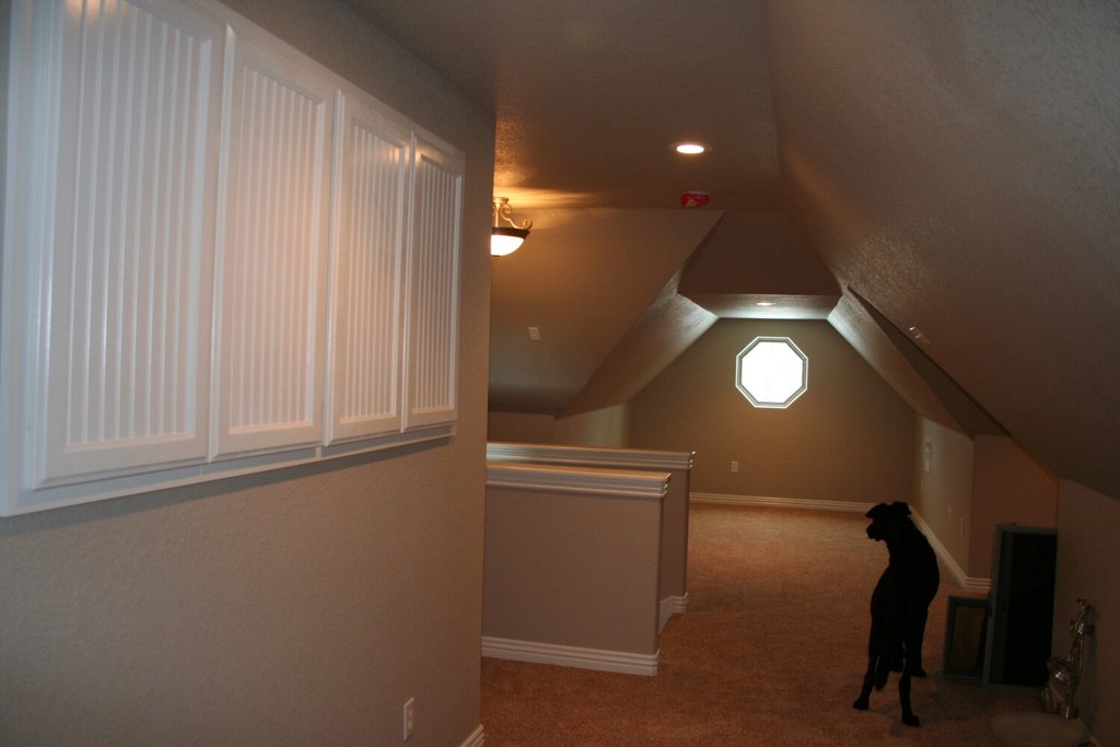 Picture 40