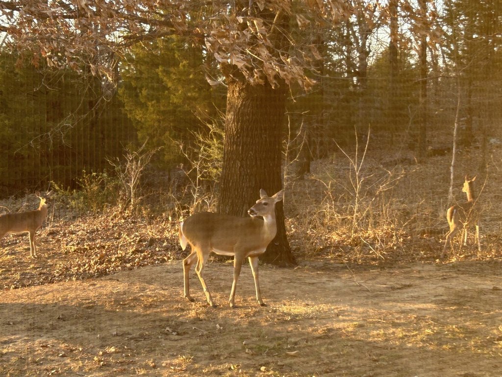 Picture 45