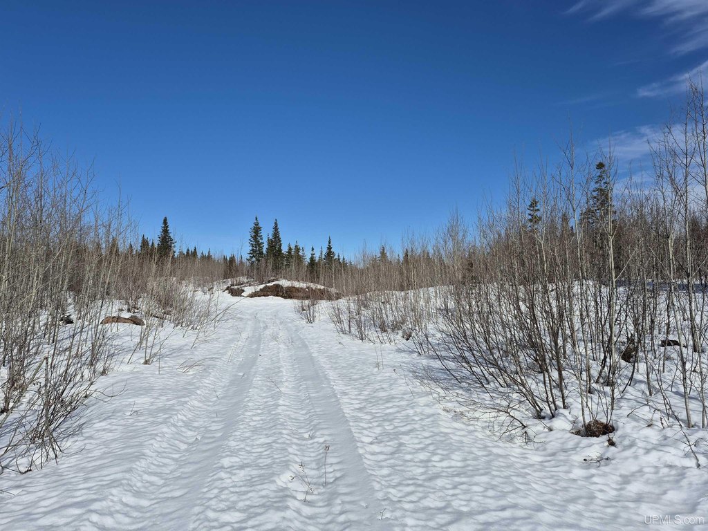 Picture 6