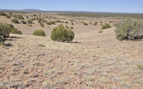 37 Acres in Concho, Arizona