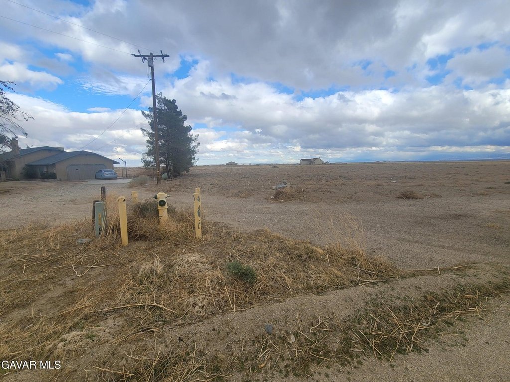 Picture 3
