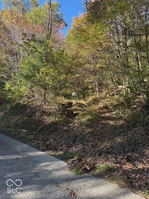Picture 10