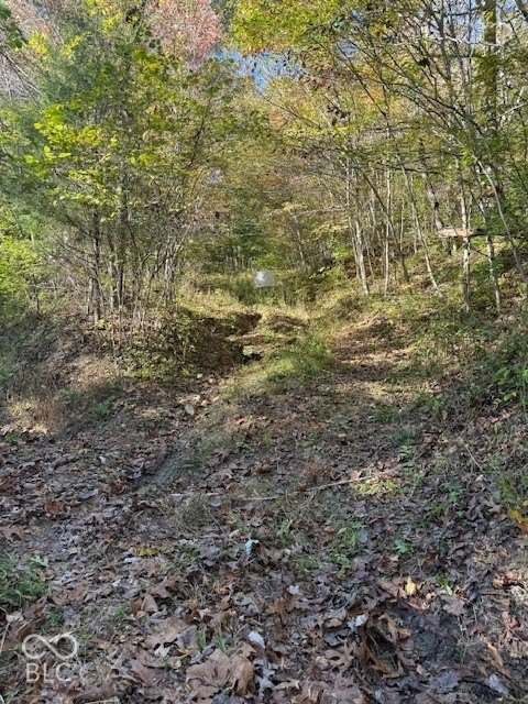 Picture 12