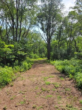 Unique Buildable Lot, 7.49 Acres