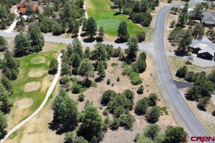 Picture 26