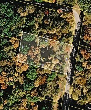 Tranquil Wooded Lot For Sale