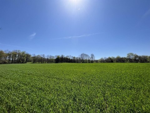 Hunting and Recreational Farm Land
