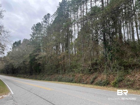 Wooded Land Tract with Road Frontage