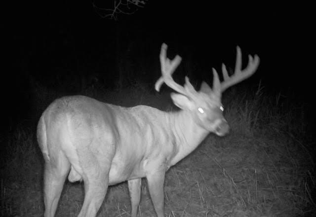 Picture 9